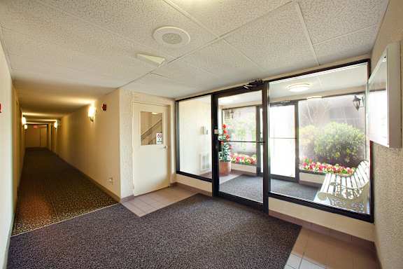a hallway of a building with large windows and a carpeted floor