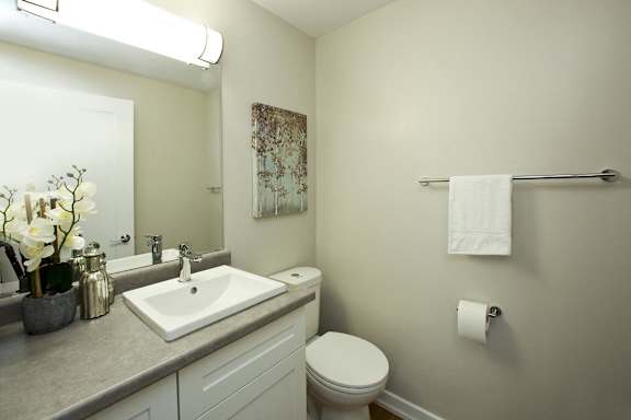 a bathroom with a sink and a toilet and a mirror