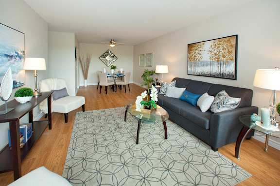 A living room with a grey couch and a grey rug.