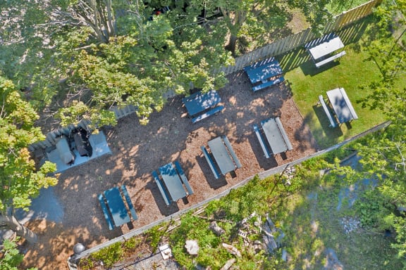a group of tables and chairs in a backyard with trees