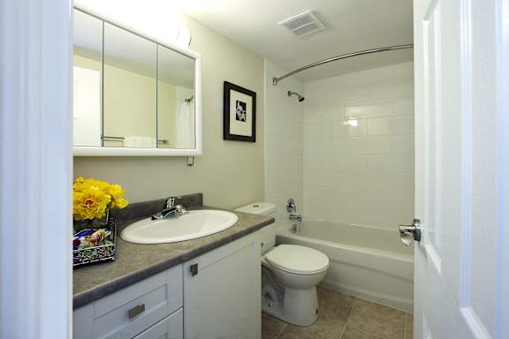 a bathroom with a sink toilet and a bath tub