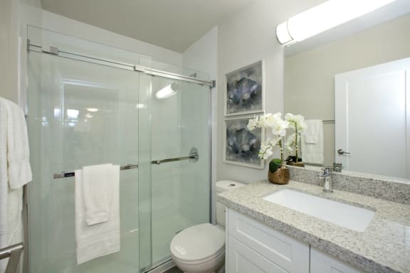 a bathroom with a shower and a sink and a toilet