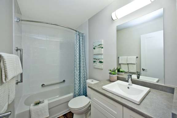a bathroom with a shower sink and toilet and a mirror