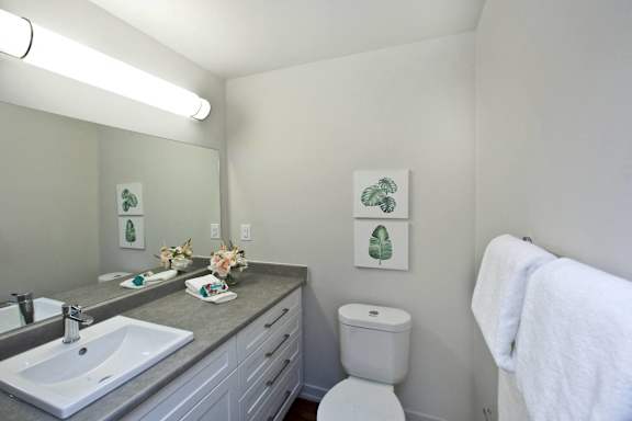 a bathroom with a sink and a toilet and a mirror