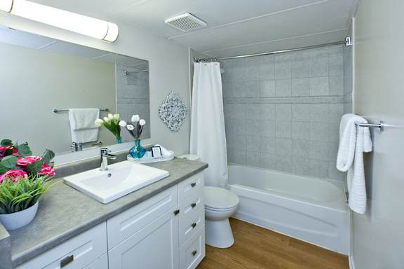 a bathroom with a sink and a toilet and a tub