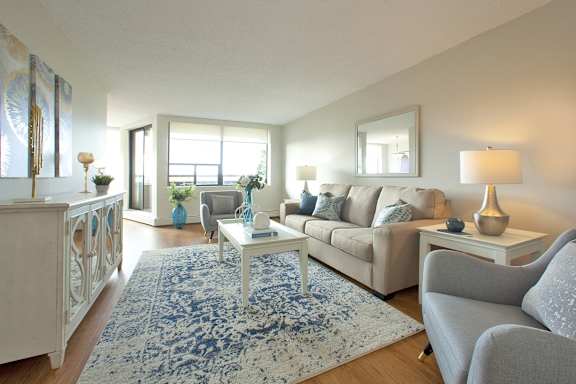 a living room with white furniture and a blue rug