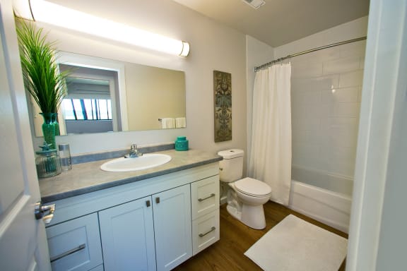 a bathroom with a sink toilet and a shower