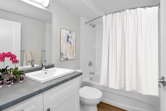 a bathroom with a sink and a toilet and a shower