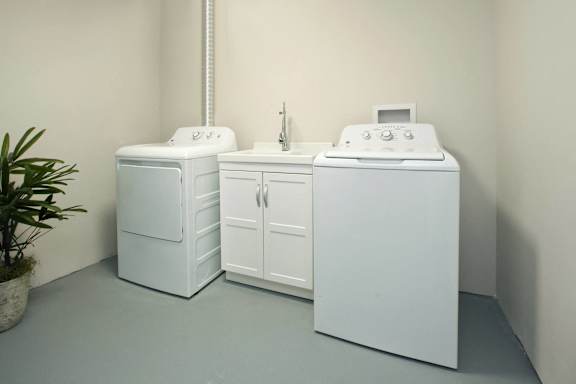 two washing machines and a sink in a laundry room