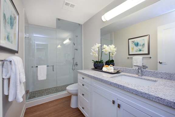 a bathroom with a shower and a sink and a mirror