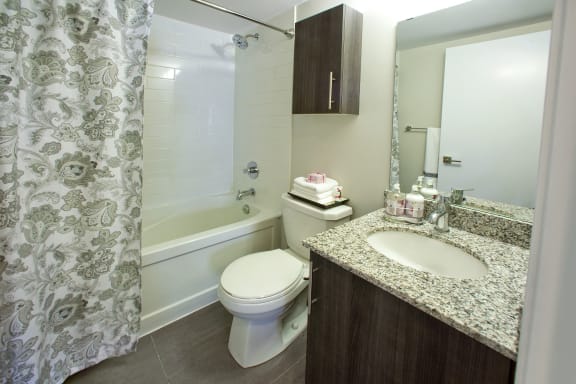a bathroom with a sink toilet and tub and a shower curtain