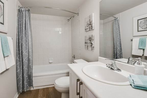 a bathroom with a sink and a shower and a toilet