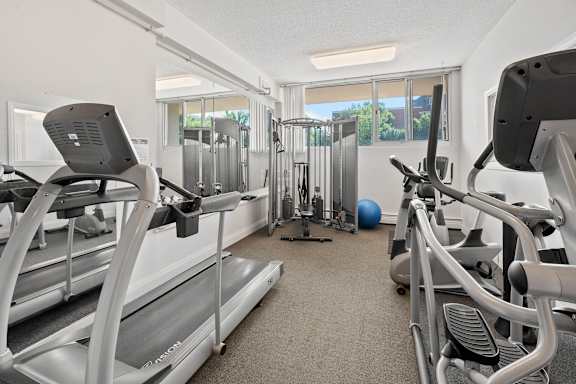 a gym with cardio equipment and weights