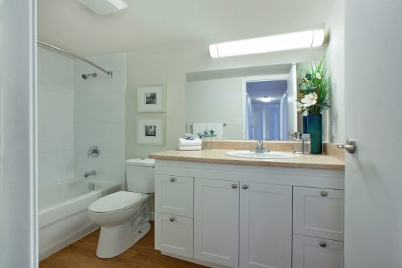 a bathroom with a sink and a toilet and a tub