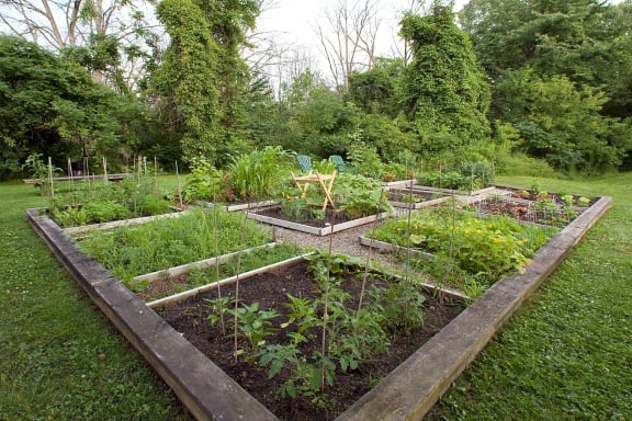 a garden with several raised beds full of plants