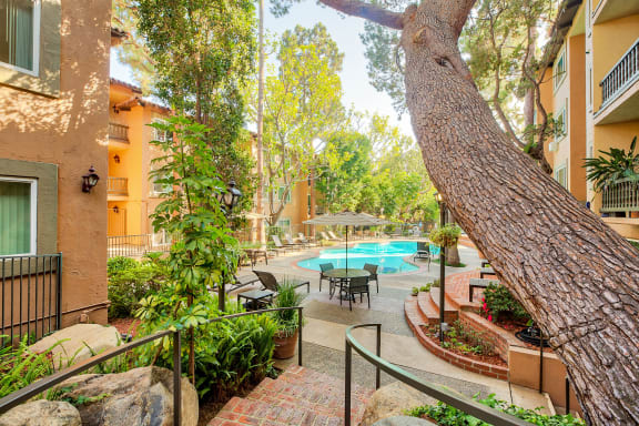a courtyard with a swimming pool and a tree