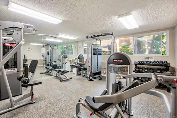 a gym with cardio equipment and weights on the floor