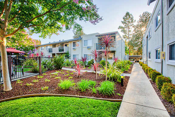a courtyard with trees and plants in front of a building at Pleasanton Place, Pleasanton, CA, 94566