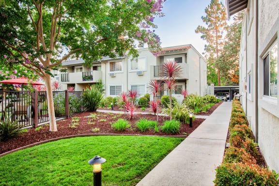 a courtyard with a sidewalk and a building with trees and plants  at Pleasanton Place, Pleasanton, 94566