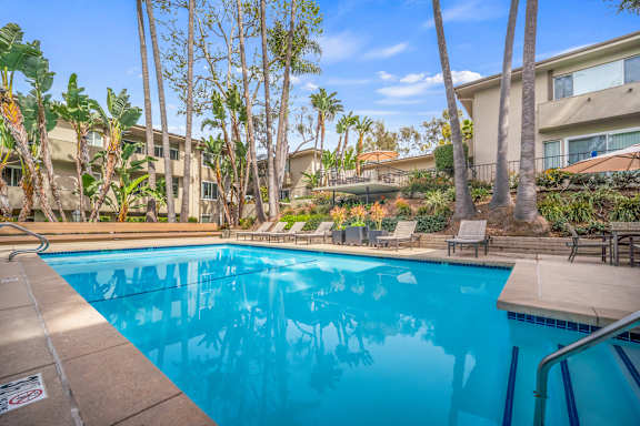 A swimming pool surrounded by palm trees and a building in the background.