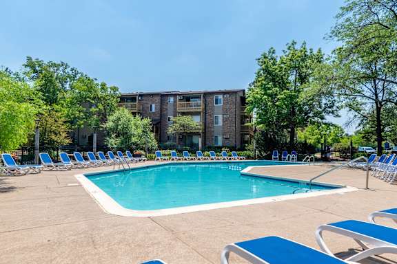 A swimming pool surrounded by blue lounge chairs and trees.