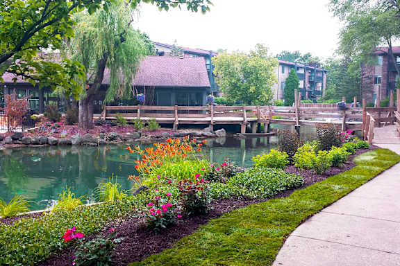 A garden with a pond and a bridge.