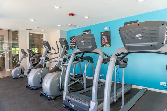 A gym with treadmills and elliptical machines.
