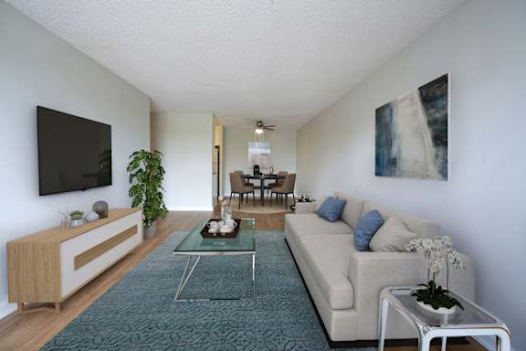 A living room with a couch, a coffee table, and a TV.