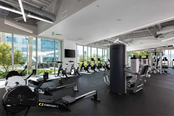 A gym with a row of treadmills and a row of exercise bikes.