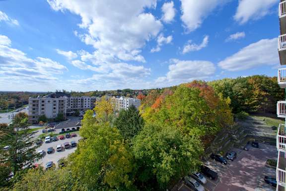 an aerial view of a city with trees and buildings