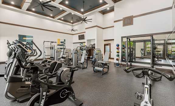 A gym with a variety of exercise equipment including treadmills, stationary bikes, and weight machines.