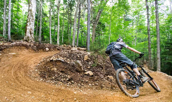 A person riding a bike on a dirt trail in the woods.