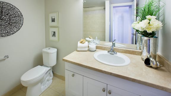 a bathroom with a sink and a toilet and a mirror