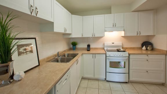 a kitchen with white cabinets and a sink and a stove