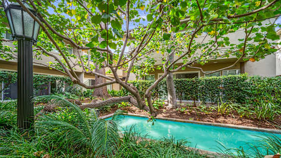 A pool surrounded by green plants and trees.