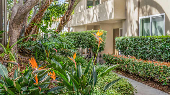 A building with a balcony is surrounded by green plants and trees.