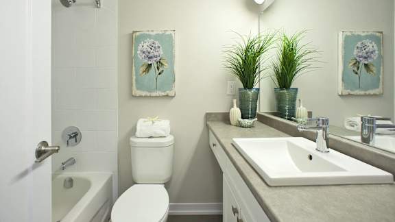 a bathroom with a sink and a toilet and a bath tub