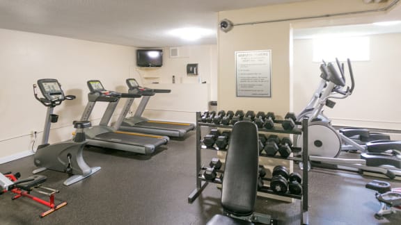 a gym with cardio equipment and weights on the floor