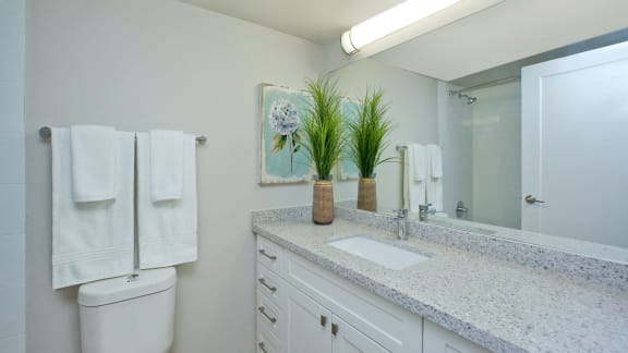 a bathroom with a sink and a mirror and a toilet