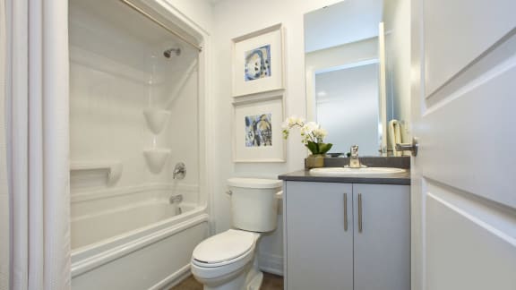 a bathroom with a toilet and a shower and a sink