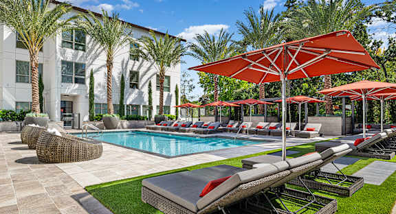 Palm-lined pool with vibrant umbrellas, plush loungers, and resort-style ambiance