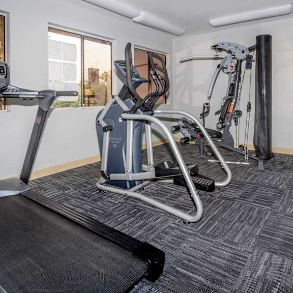 A treadmill and a weight machine in a room.
