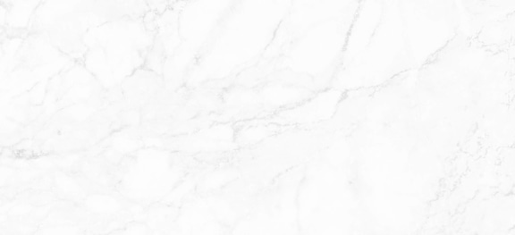A white marble texture background.