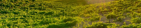 an aerial view of a farm with mountains at Vista Promenade Apartments, Temecula, California