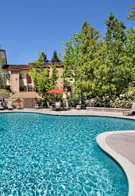 Pool View at The Maddox Sunnyvale, Sunnyvale California