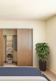 a bedroom with a bed and a closet with a plant