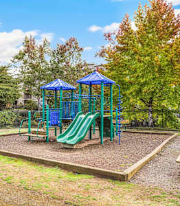 A playground with a green slide and a blue canopy.