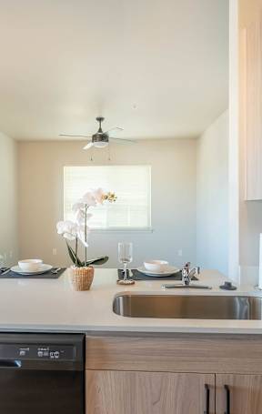 A modern kitchen with a dishwasher and sink at Westgate Apartment Homes, Pendleton, OR, 97801