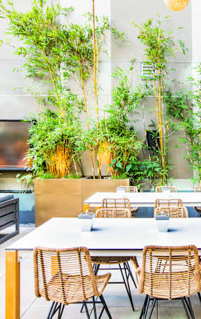 Outdoor Lounge With TV at Ansel, California
