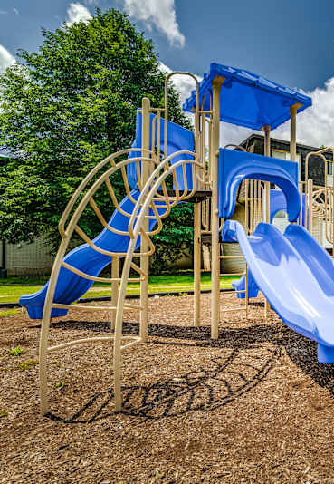  A playground with a blue slide